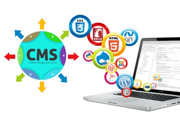 cms-website-development cms-website-development